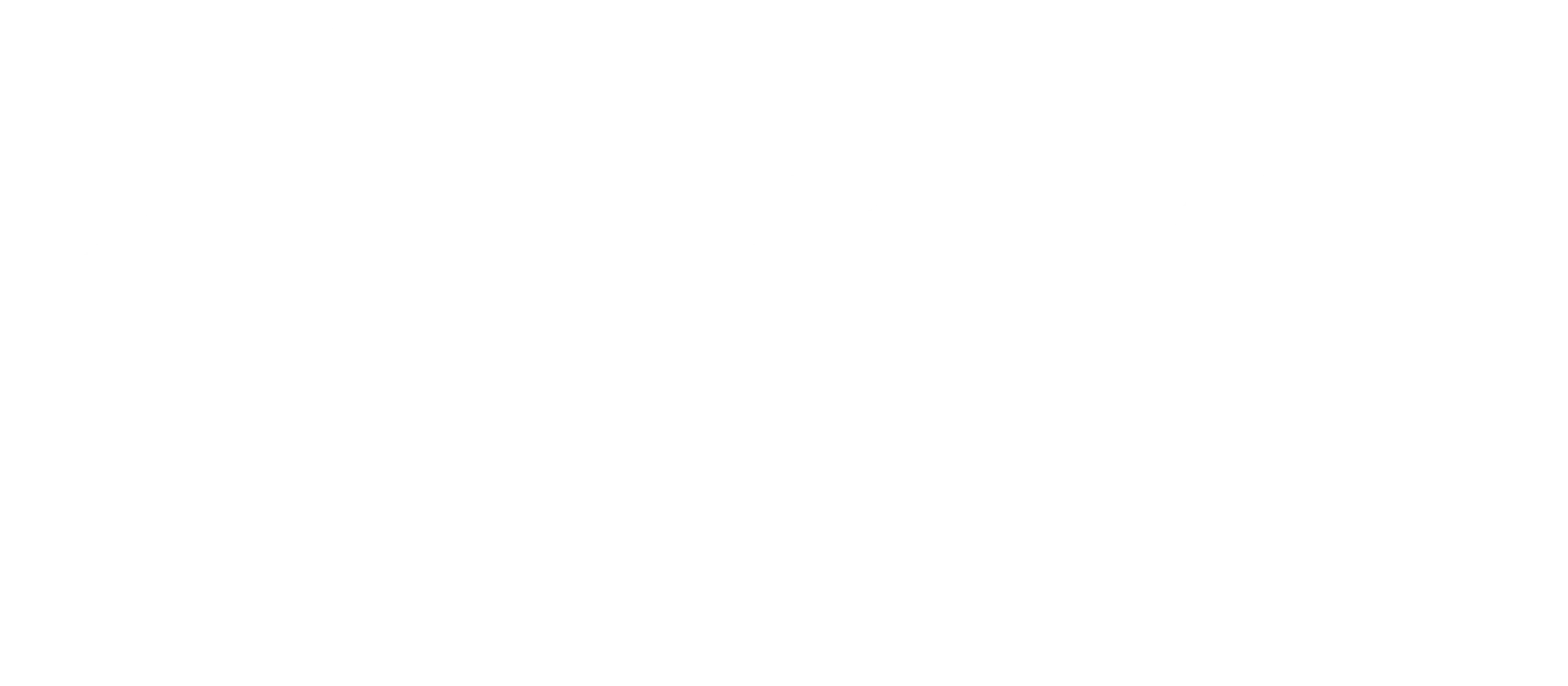 CSS_logo bianco